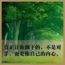 百乐军
