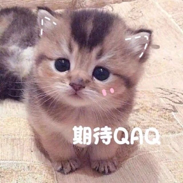 请叫我丶官人