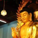 圆悟承僖