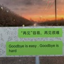 寻水的鱼