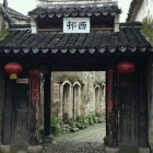 为了梦中的橄榄树