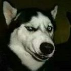 邀月同宿青山深处