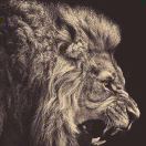 步行尚且如此追逐